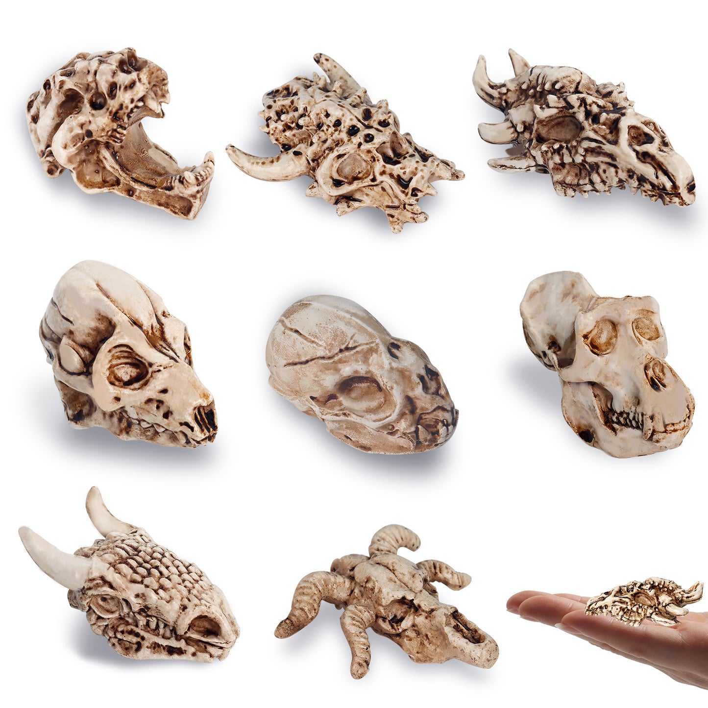 Mini Animal Skulls Figurines Set (8 Pieces) | Poorbone