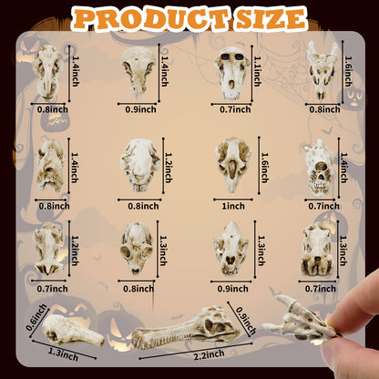 Mini Resin Animal Skull Heads Set (14 Pieces) | Poorbone