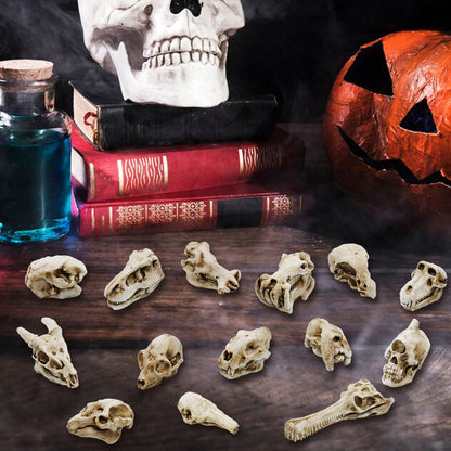 Mini Resin Animal Skull Heads Set (14 Pieces) | Poorbone