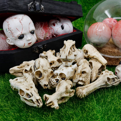 Mini Resin Animal Skull Heads Set (14 Pieces) | Poorbone